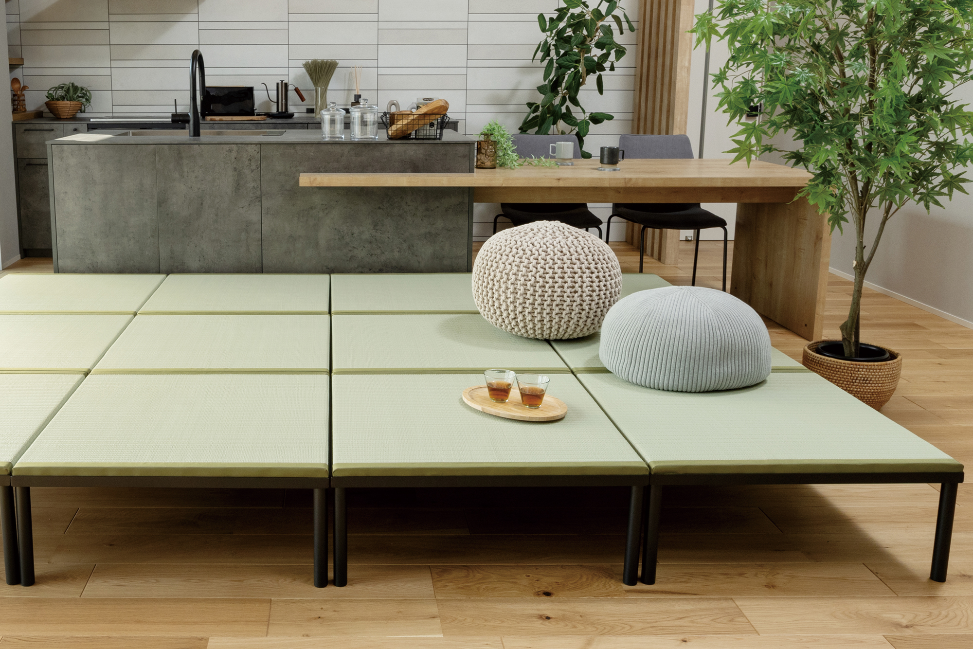 【セール】マンモスの環椎　化石　特大 葛生化石館（歩鉄の達人）