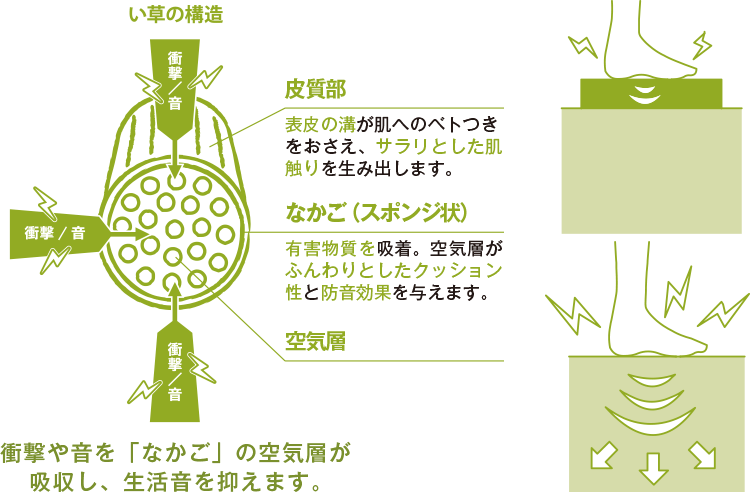 い草について 株式会社大島屋