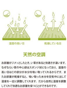 天然の空調